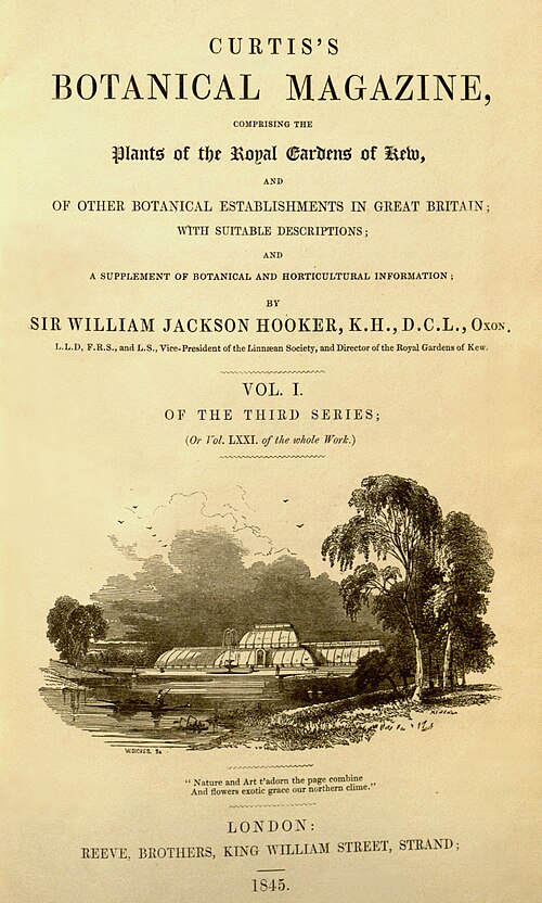 Curtis's Botanical Magazine